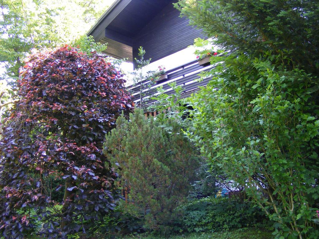 Guesthouse Marko Bled Exteriér fotografie